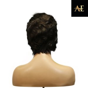 center wig machine made black wig remy hair h001